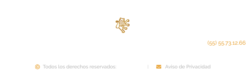 dirección leo