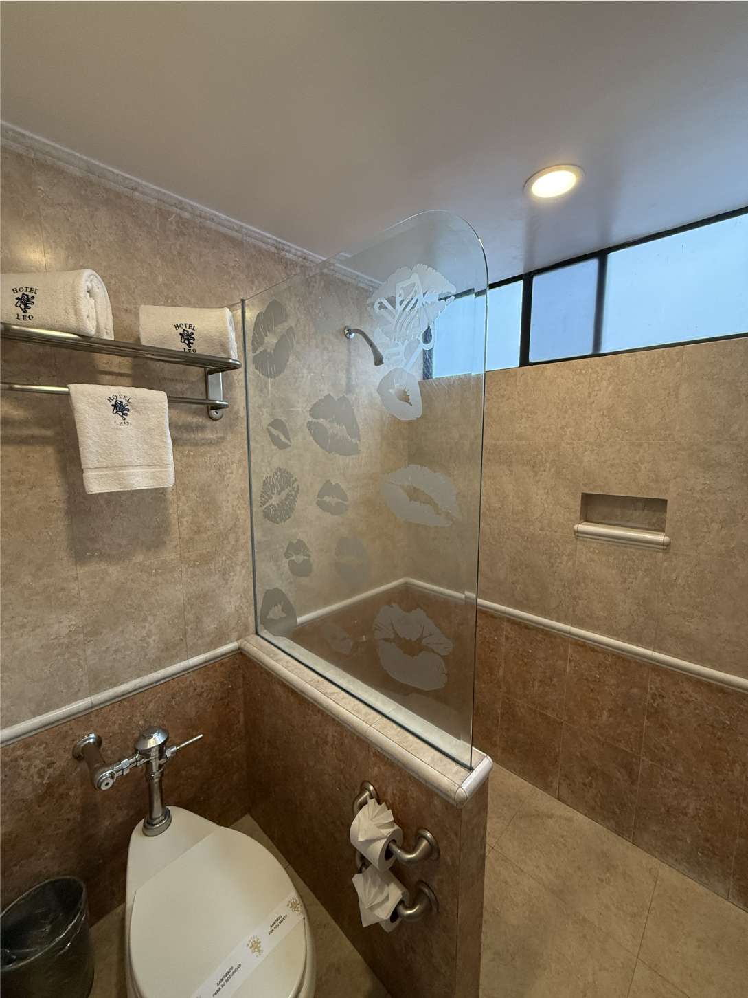 Regadera Junior Suite
